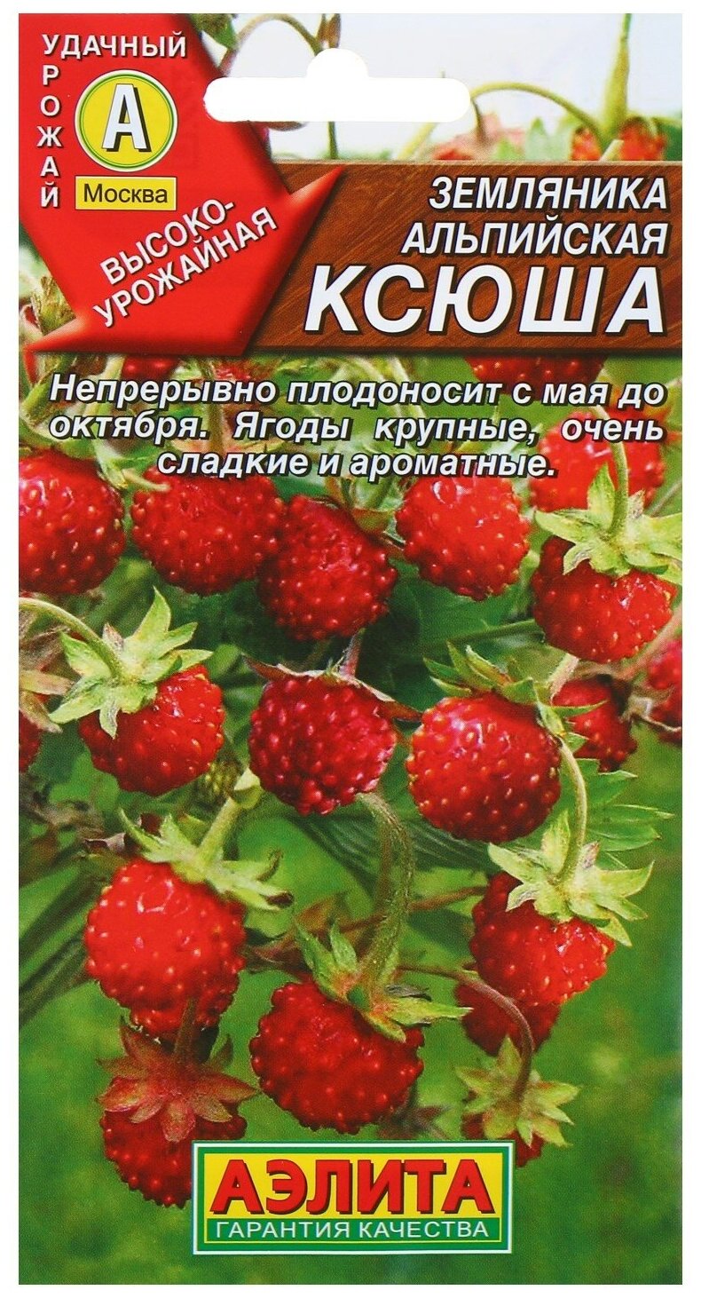 Семена Земляника "Ксюша" альпийская  004 г