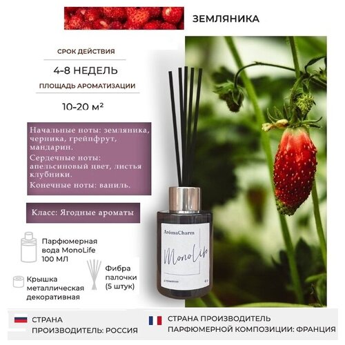 Ароматизатор для дома AromaCharm, Диффузор ароматический с палочками, 100 мл MonoLife 07 STRAWBERRY