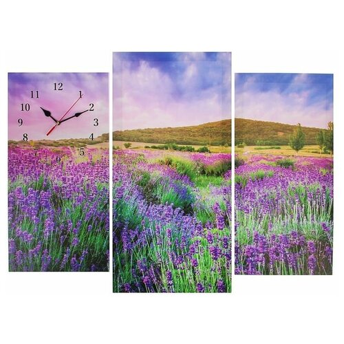 фото Часы настенные модульные «цветочное поле», 60 × 80 см сюжет