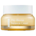 By Wishtrend Восстанавливающий крем для лица с пробиотиками Pro-Biome Balance Cream, 50 мл - изображение