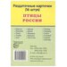 Птицы России. 16 демонстрационных карточек с текстом