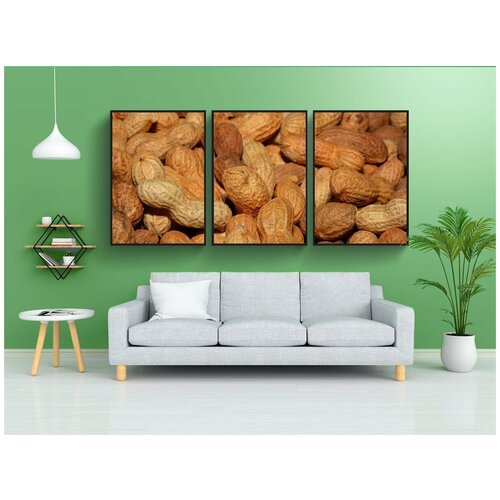 фото Набор модулных постеров для интерьера "арахис, орехи, снаряды" 60x90 см. в тубусе, без рамки lotsprints