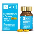 KWC Lactobacterium & Fucoidan капс. - изображение