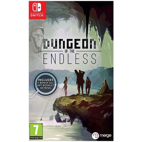 Dungeon of the Endless (Switch) английский язык alice gear aegis cs concerto of simulatrix switch английский язык