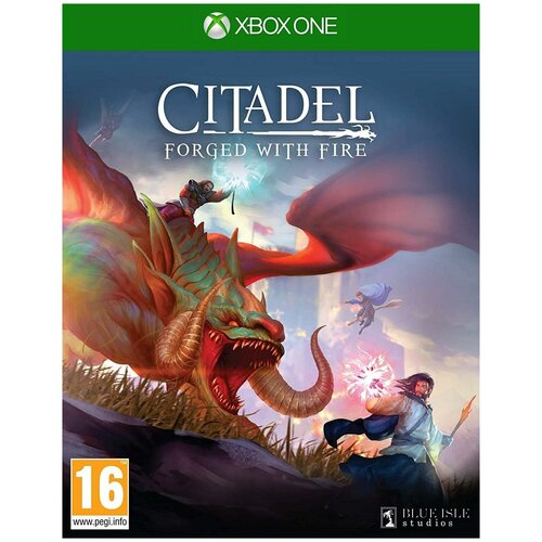 Citadel: Forged With Fire (Xbox One) английский язык