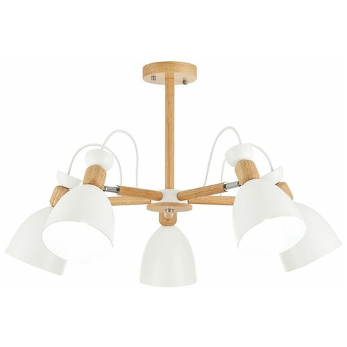 Потолочная люстра Evo Luce SLE103802-05