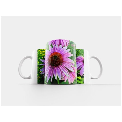 фото Кружка "эхина, цветок, розовый" 320 мл lotsprints