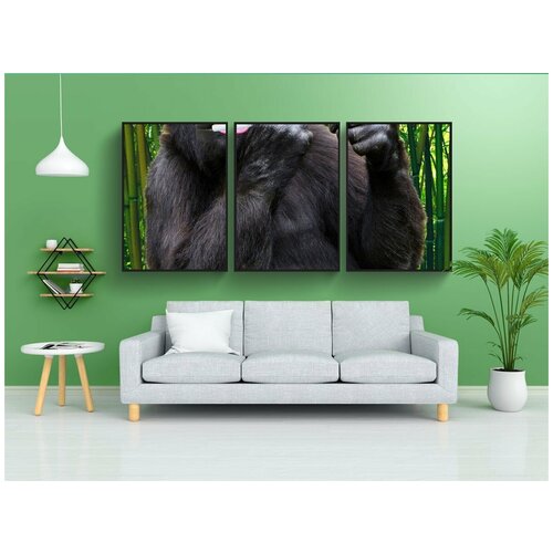 фото Набор модулных постеров для интерьера "горилла, обезьяна, примат" 60x90 см. в тубусе, без рамки lotsprints