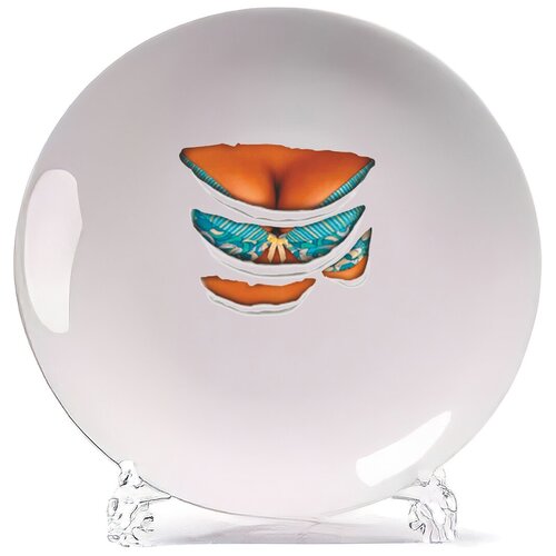 фото Тарелка coolpodarok порванная тарелка. девушка5