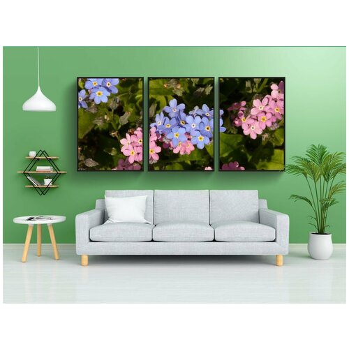 фото Набор модулных постеров для интерьера "не забывай меня, миозот, raublattgewächs" 60x90 см. в тубусе, без рамки lotsprints