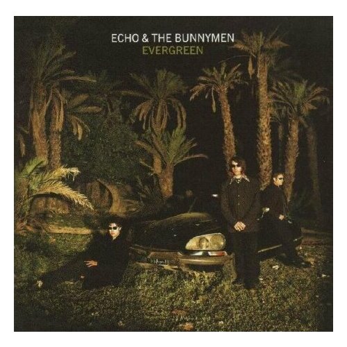 Виниловые пластинки, London Records, ECHO & THE BUNNYMEN - Evergreen (LP) виниловые пластинки korova echo