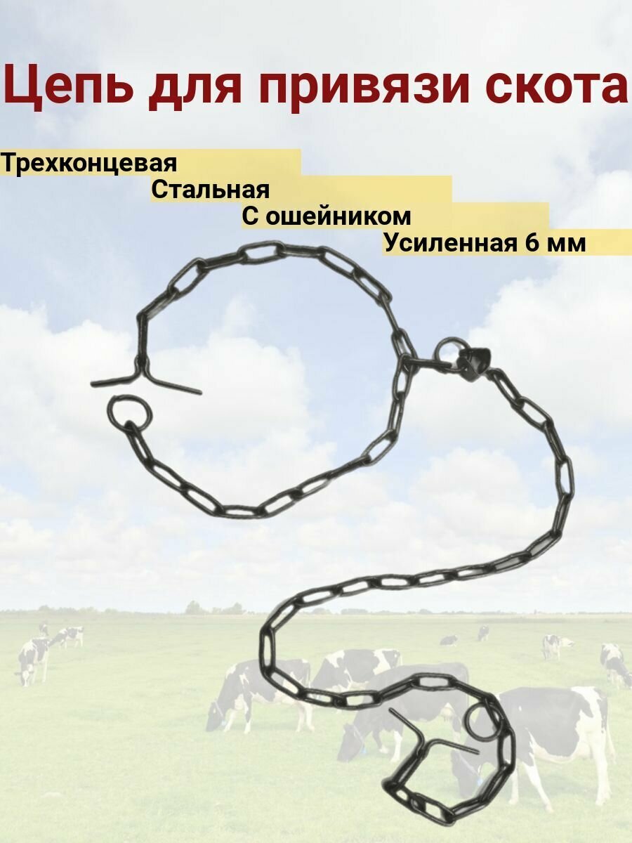 фото Трехконцевая усиленная стальная цепь с ошейником 6 мм