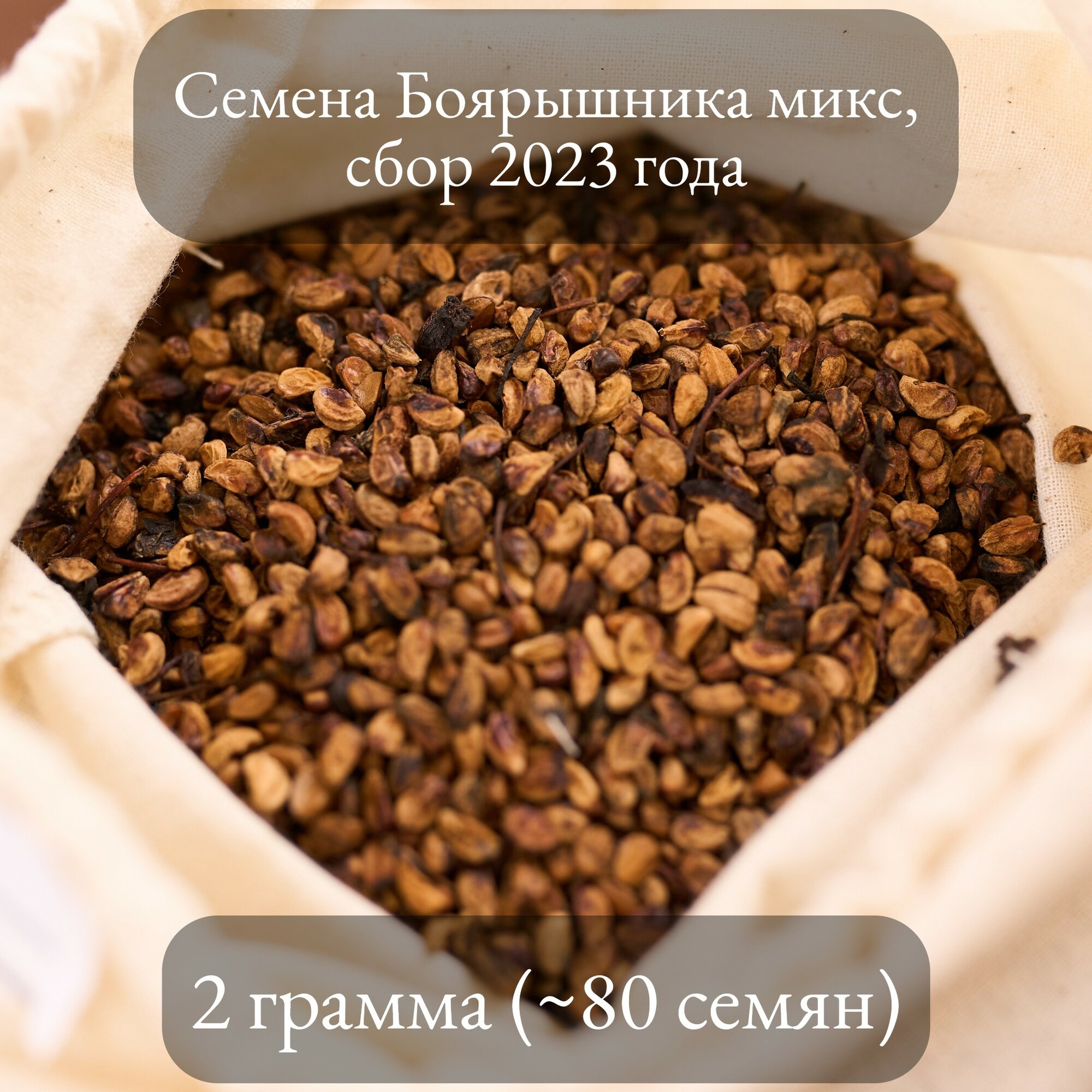 Семена Боярышника (микс сортов: Арнольда крупноплодный сибирский) 2 грамма (примерно 80 шт)