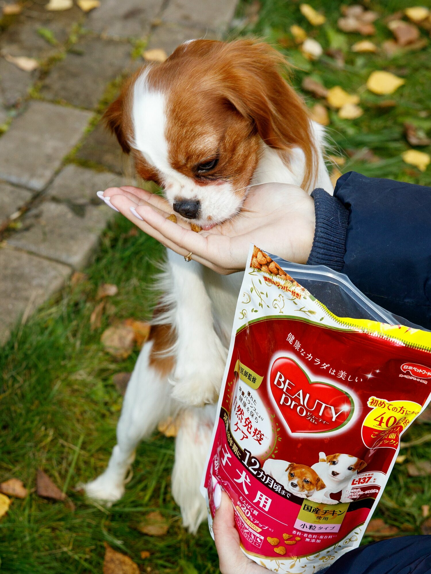 Корм для собак сухой Japan Premium Pet с коллагеном и DHA для развития умственной и физической активности щенка — фото 1