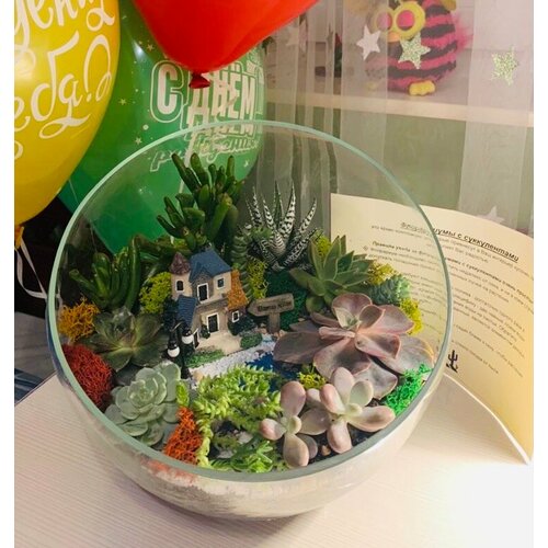 Флорариум сфера с суккулентами L