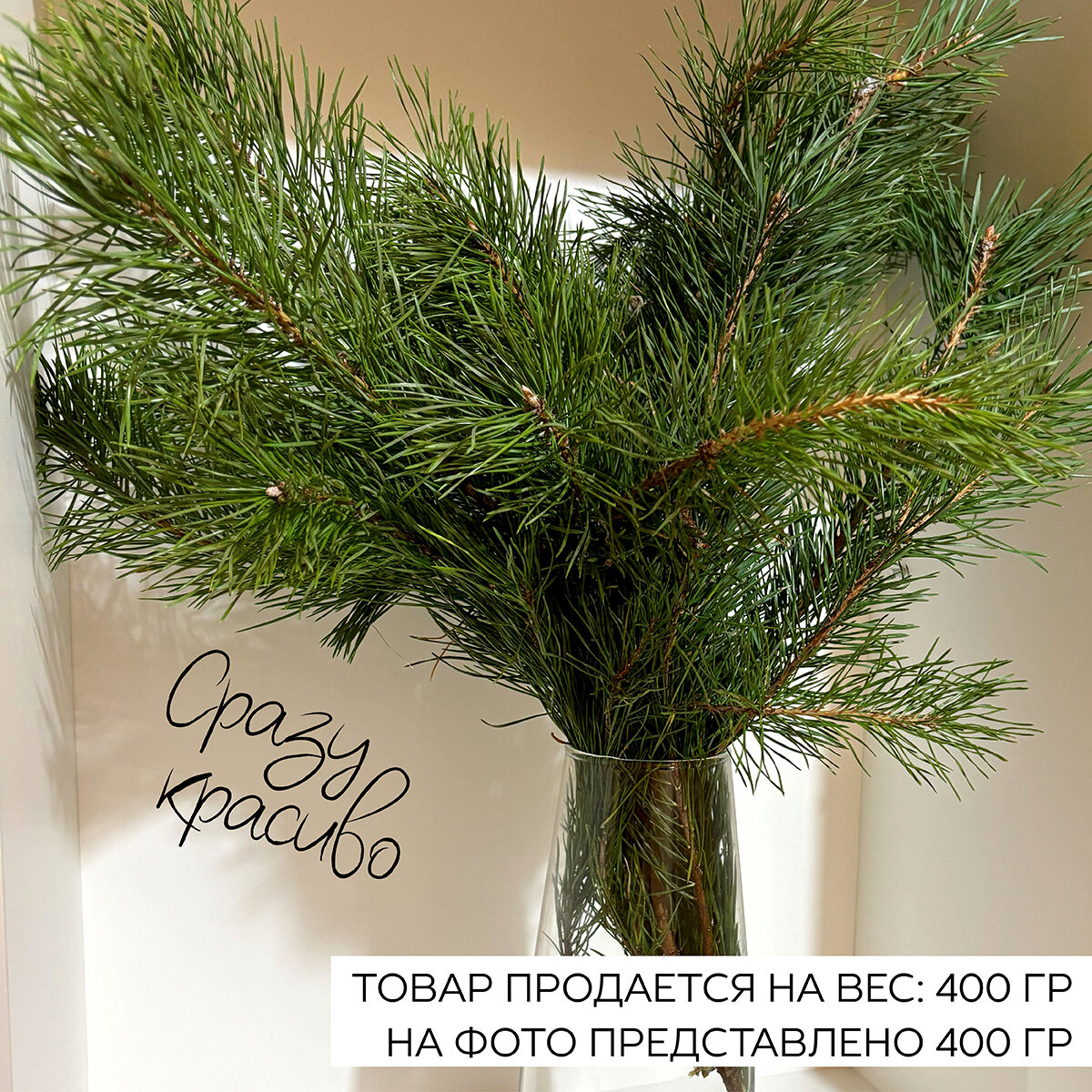 Лапник сосны/ стабилизированные ветки 50 см украшение новогоднее