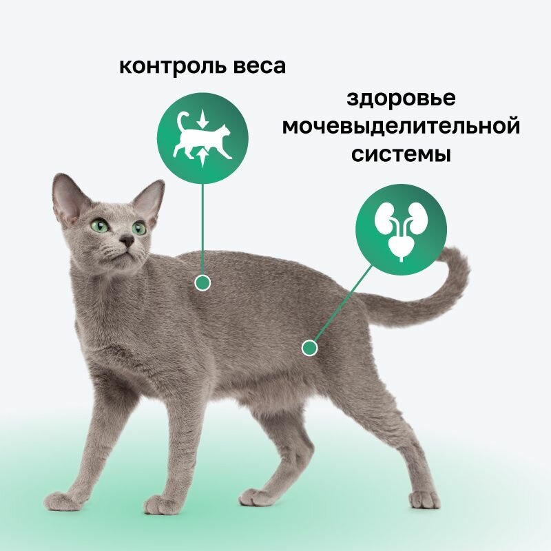 Organix Сухой корм для стерилизованных кошек с курицей, фруктами и овощами, Sterilised 36 Chicken, 400 гр — фото 1