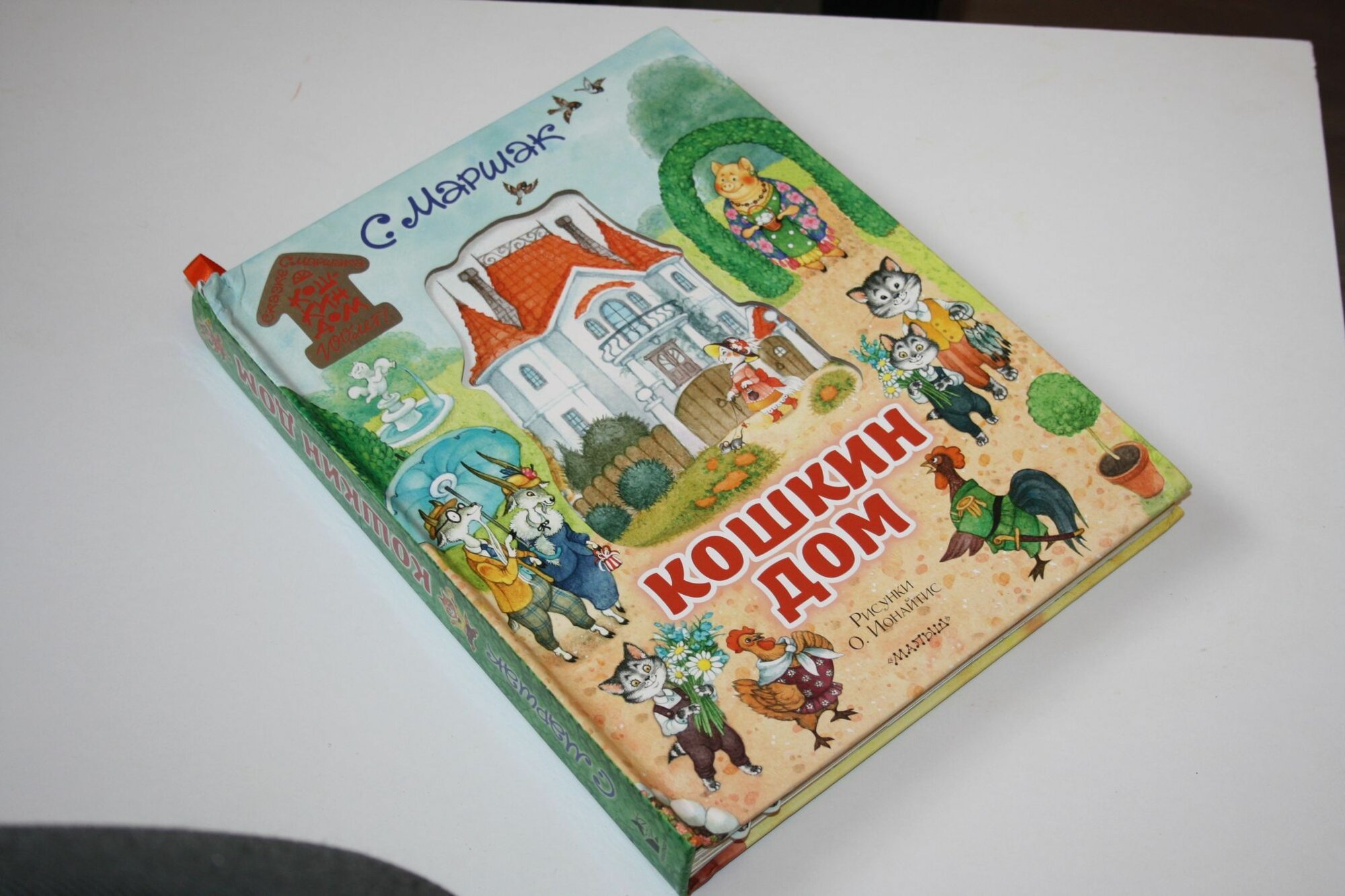 Кошкин дом