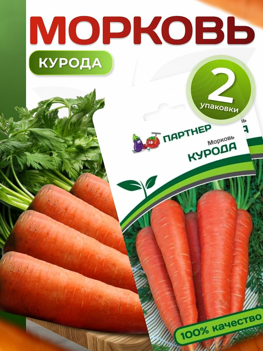 Семена моркови Курода