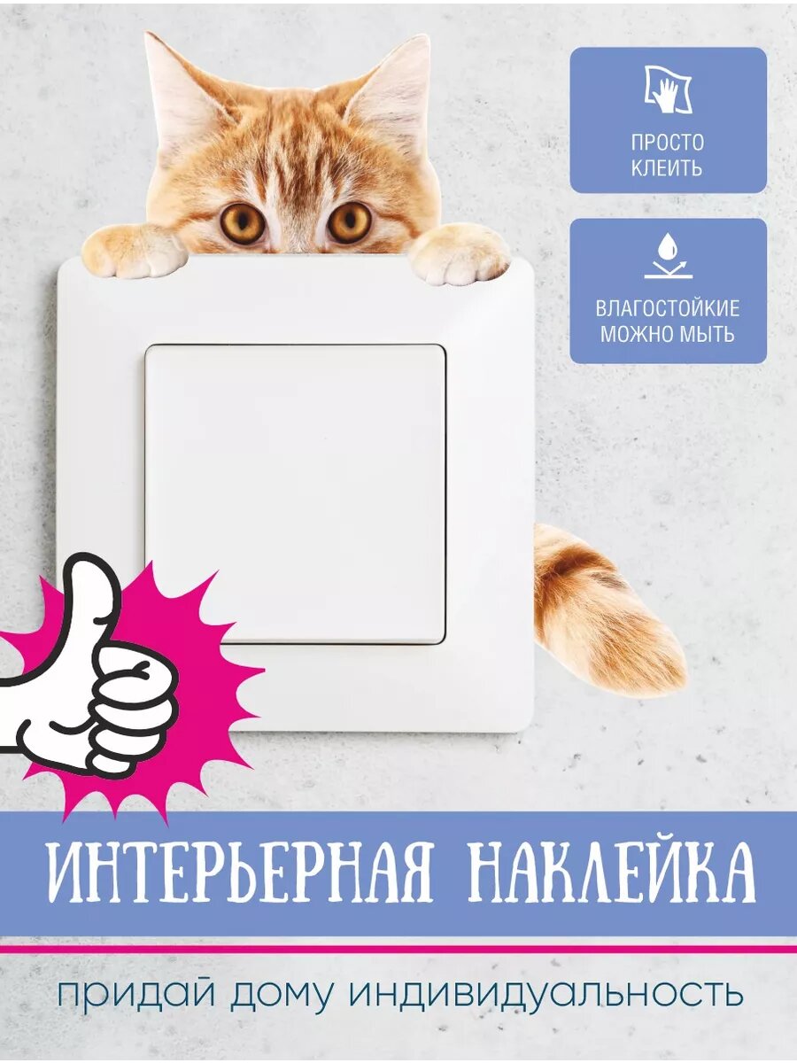 Наклейки рыжий котенок 2 шт — фото 1