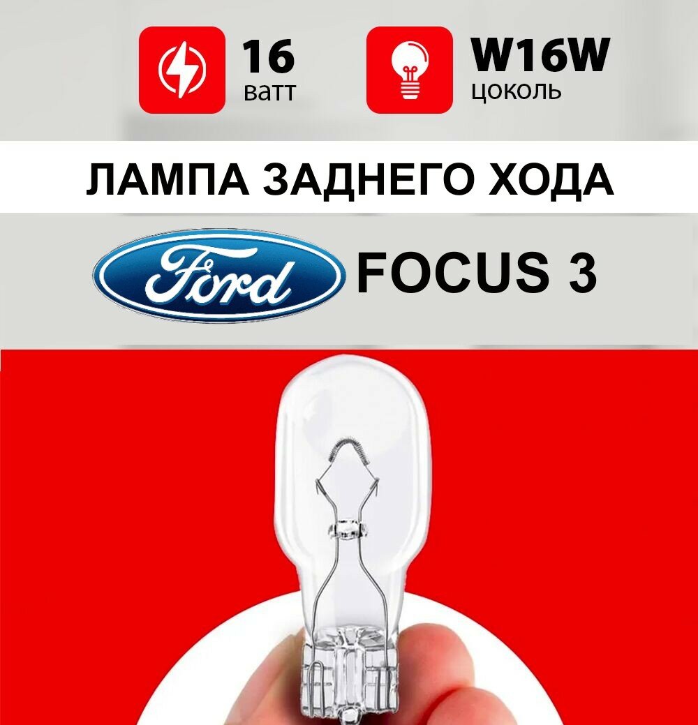 Лампа заднего хода Форд Фокус 3 / лампочка заднего хода для Ford Focus III хэтчбек / W16W 16 wt