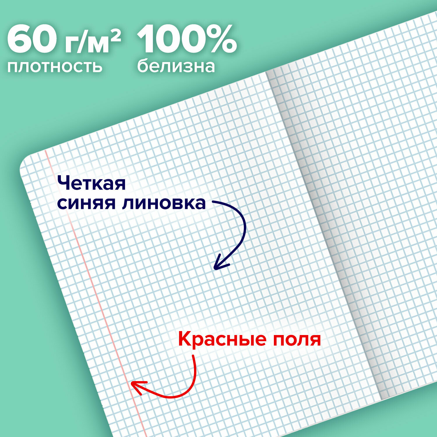 Тетрадь А5 в клетку 48 листов для записей в школу и офис, набор 5 штук, матовая обложка, Brauberg Курлык и все-все-все, 404959 — фото 1