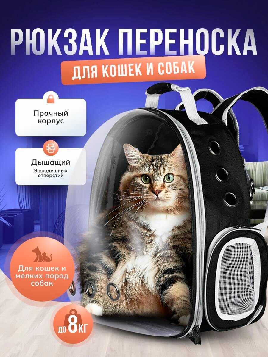 Рюкзак-переноска для кошек и собак