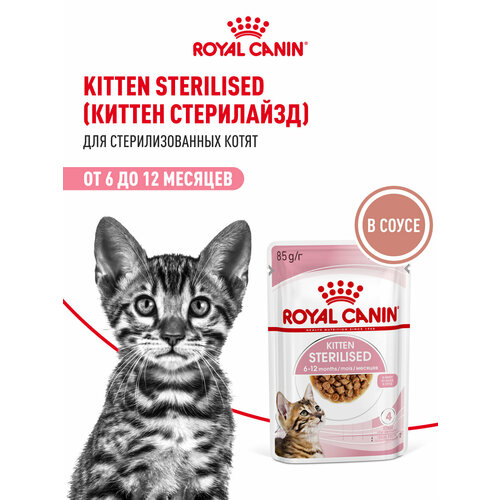 Корм влажный для стерилизованных котят (в возрасте от 6 до 12 месяцев) KITTEN STERILISED (киттен стерилайзд), в соусе 28х85г