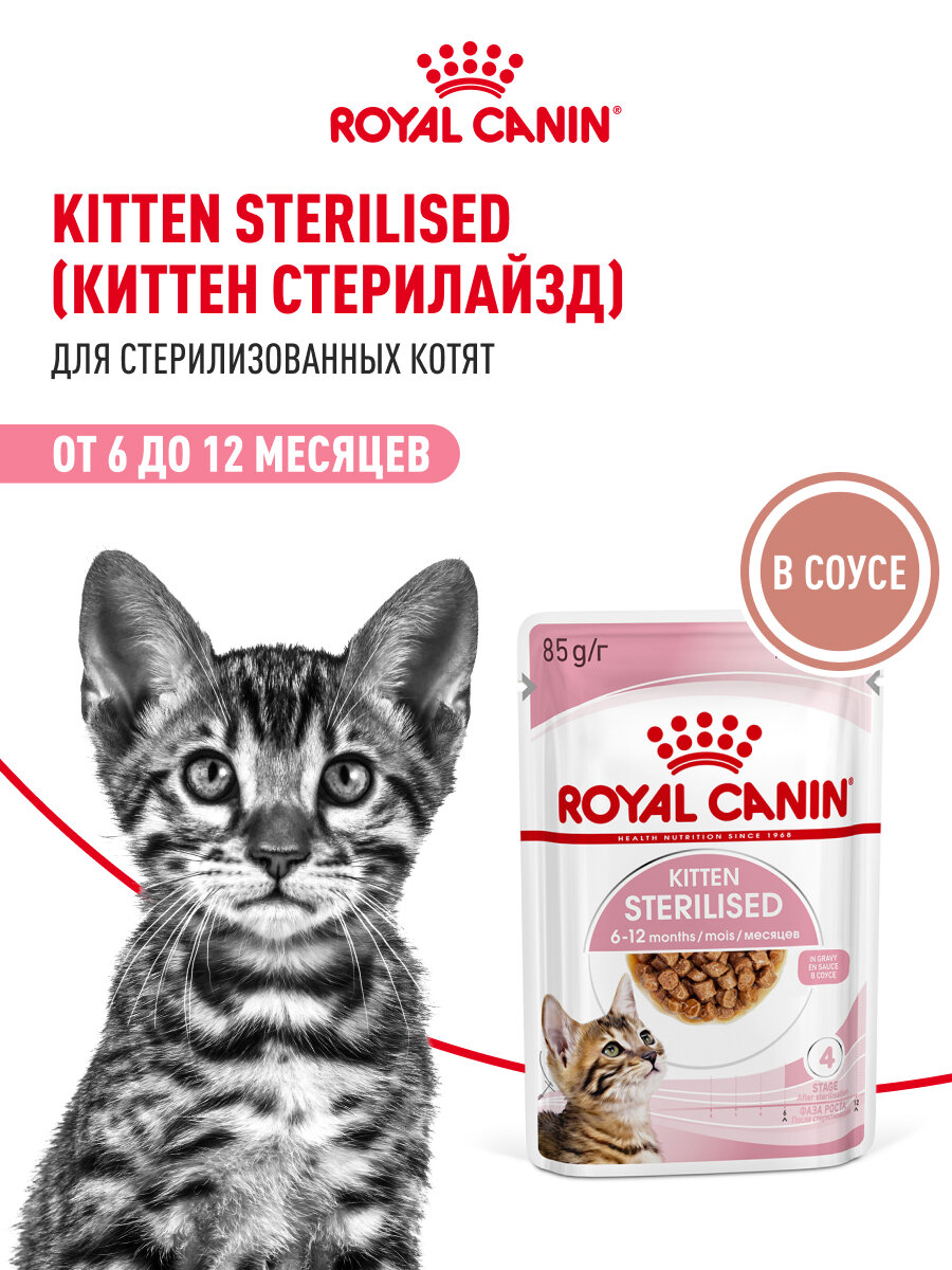 Влажный корм для стерилизованных котят Royal Canin Kitten Sterilised кусочки в соусе, 28 шт по 85 г