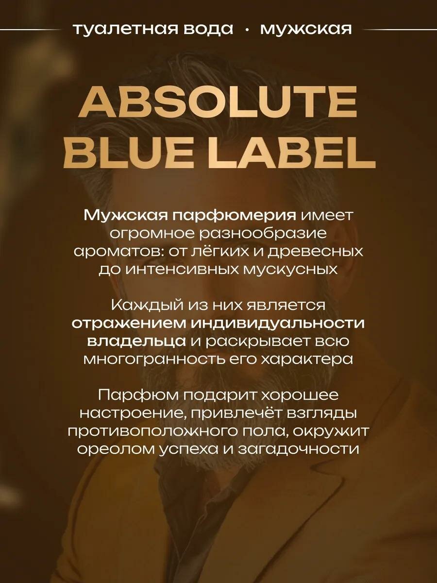 Туалетная вода мужская Absolute Blue Label, 100 мл, древесный пряный аромат — фото 1