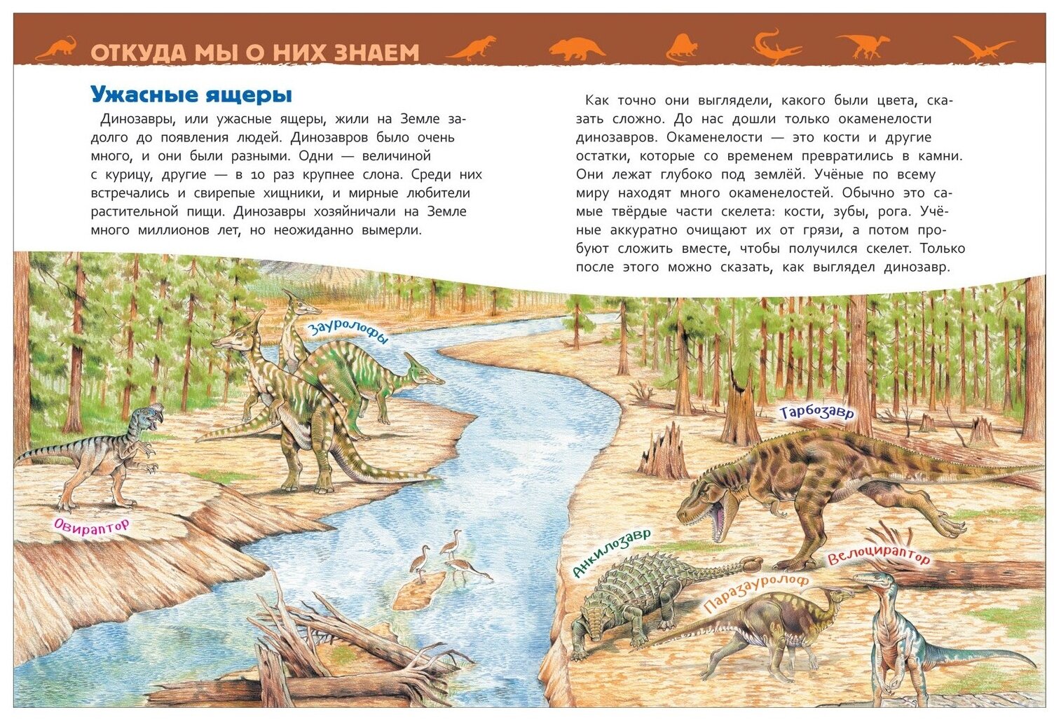 Динозавры. Энциклопедия для детского сада - фото №4