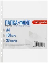 Calligrata Папка-файл Премиум, А4, 30 мкм, глянцевые, прозрачный