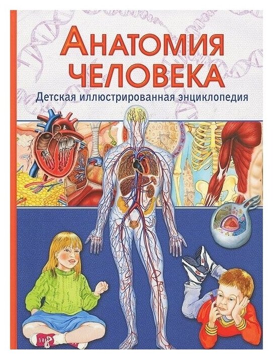 Анатомия человека. Детская иллюстрированная энциклопедия - фото №1