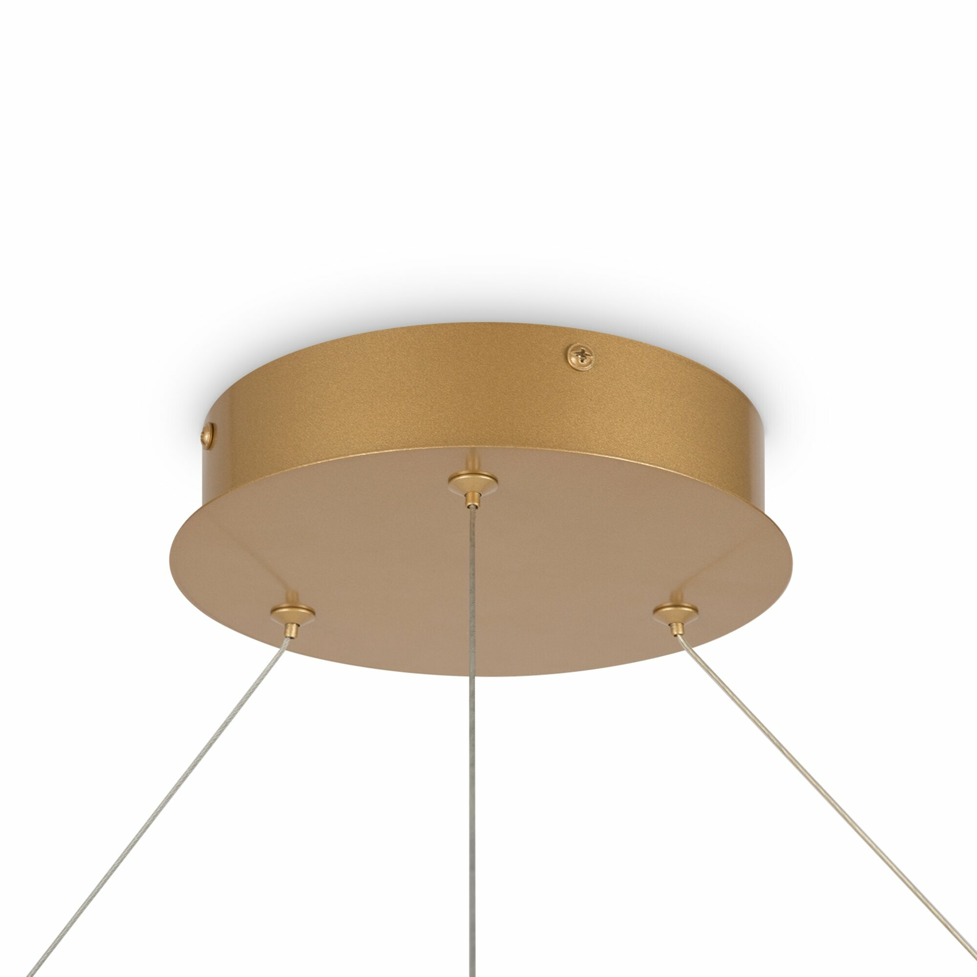 Светильник Maytoni TECHNICAL MOD058PL-L65BS4K - фото №9