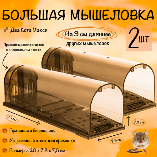 Мышеловка клетка гуманная, большая ловушка для мышей, грызунов, Два Кота, Планета Садовод, Коричневый, 2 штуки коричневый