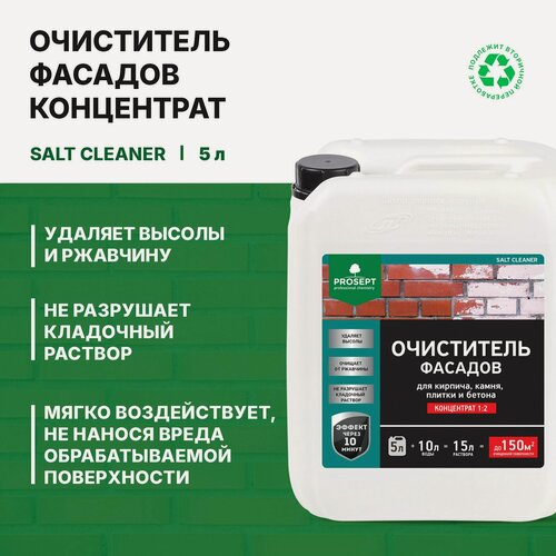 Изображение товара Очиститель фасадов от высолов Prosept Salt Cleaner концентрат 1:2 (5л)
