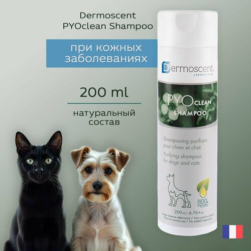 Очищающий шампунь при кожных заболеваниях у собак и кошек Dermoscent PYO Clean Shampoo 200мл