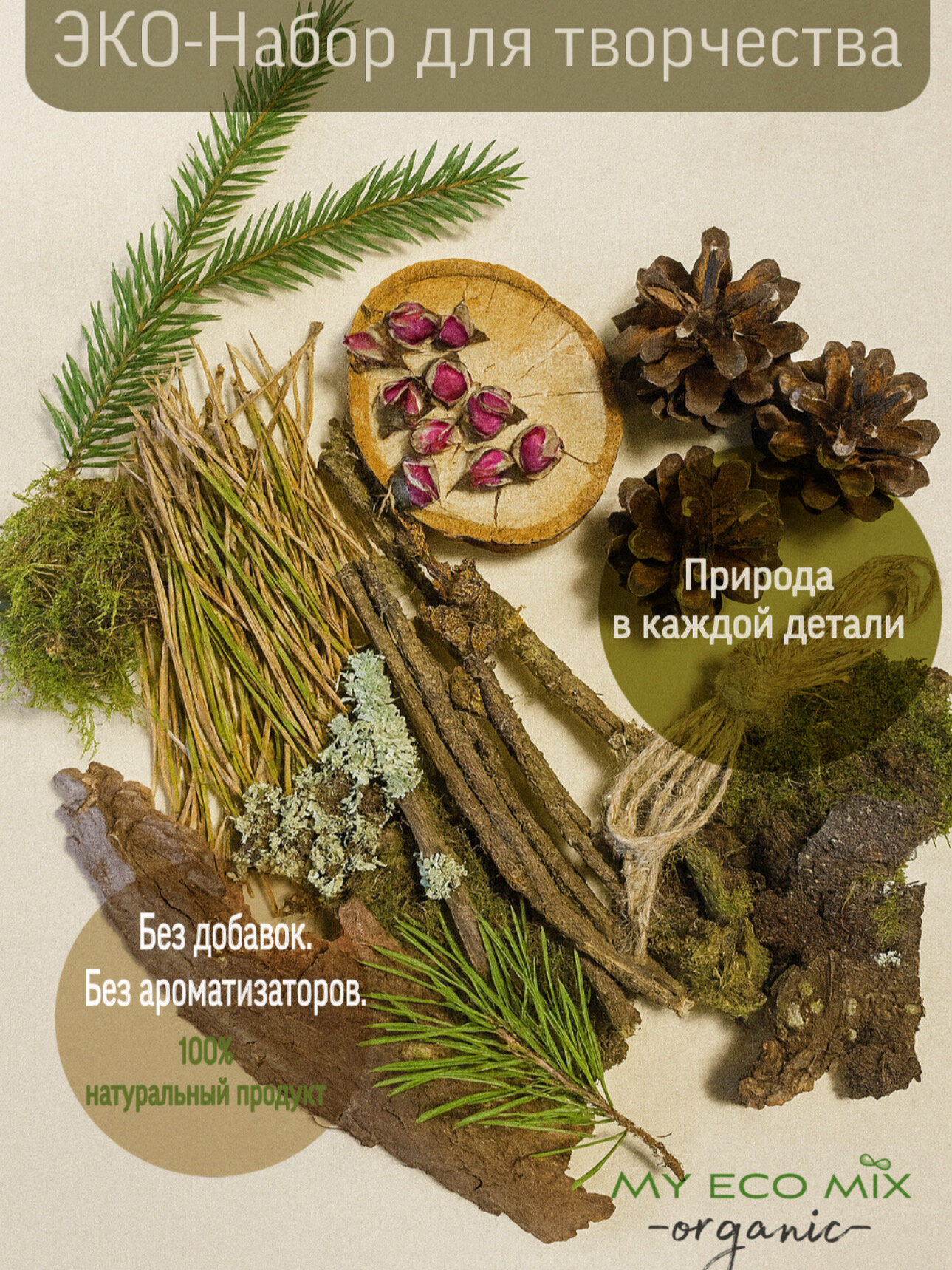 ЭКО Набор для творчества из природных материалов