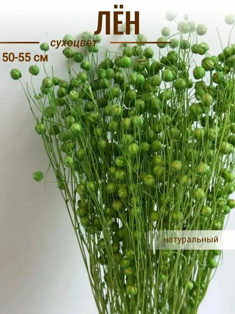 Сухоцветы Лен 55 см 50 гр