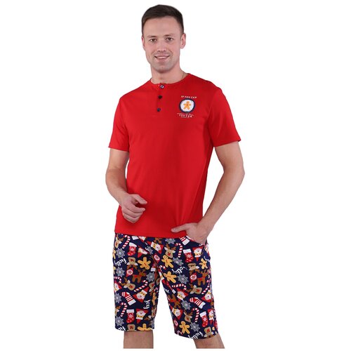 фото Мужская домашняя пижама/ костюм (шорты+ футболка), размер 58 berchelli