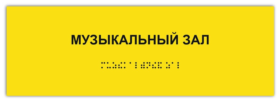 Таблички Брайля / Тактильная табличка ГОСТ со шрифтом Брайля музыкальный ЗАЛ 300х100мм