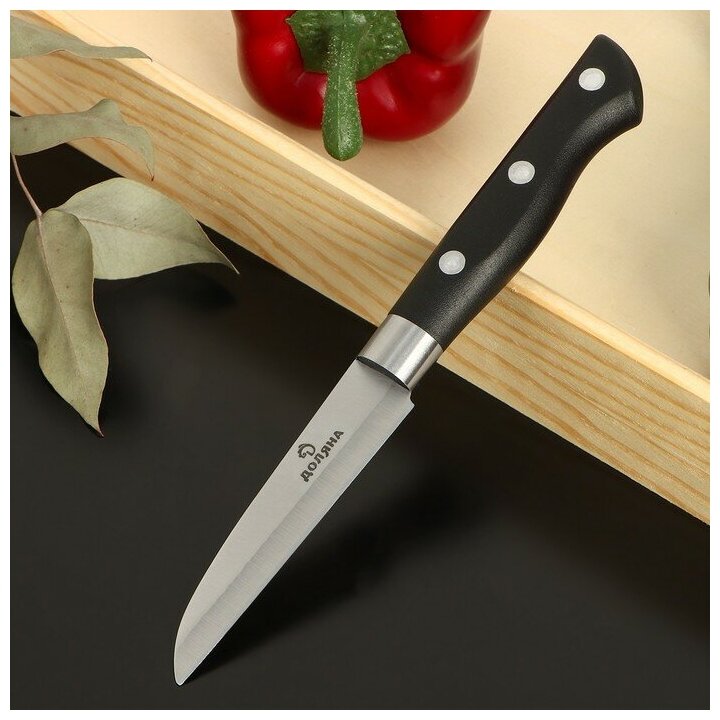 Доляна Нож для овощей Доляна «Кронос», лезвие 9 см, цвет чёрный