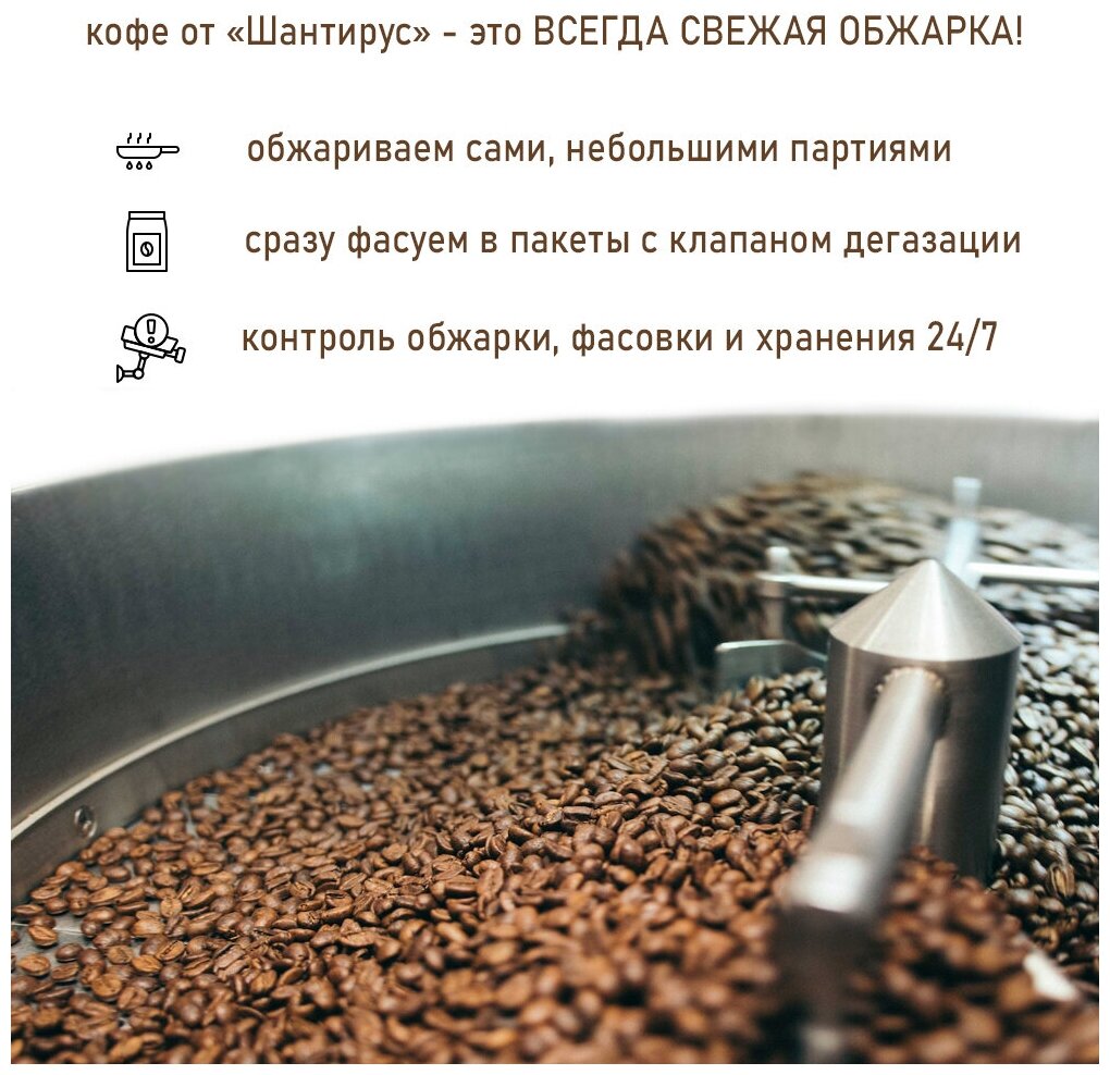 Шантирус Кофе Индия Плантейшн А 100% арабика в зернах coffee India plantation (Индия) 100г - фотография № 2