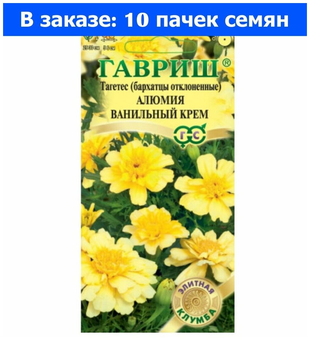 Бархатцы алюмия фото — купить по низкой цене на Яндекс Маркете