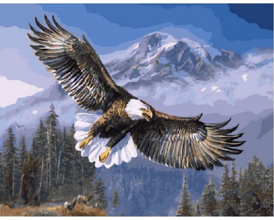 Картина по номерам Белоголовый орлан 40х50 см Hobby Home