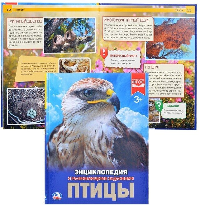 Птицы (Хомякова Кристина) - фото №7