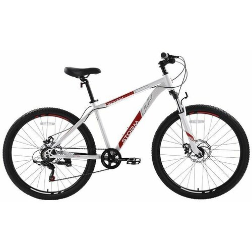 Велосипед горный TECH TEAM STORM 275х17 2023 Белый 2741000₽