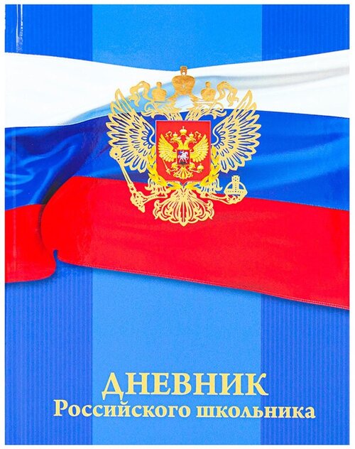 Дневник школьный 