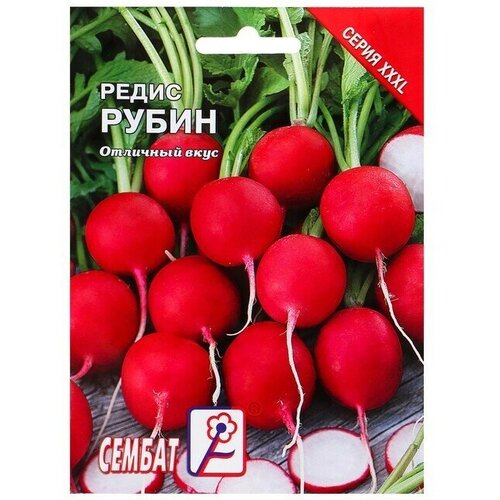 редис рубин 3 0 г серия традиция семена гавриш дача Семена ХХХL Редис Рубин, 20 г 1 упаковка