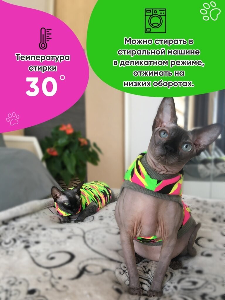 Одежда для животных кошек сфинкс и собак мелких пород, размер XL - фотография № 7